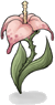 Flor Selvagem