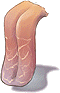 Língua