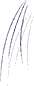 Bigodes de Toupeira