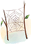 Teia de Aranha