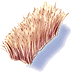 Crina