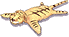Pele de Tigre