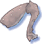 Pata de Inseto