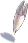 Presa