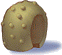 Casca Arredondada