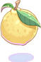Cidra