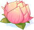 Flor de Lótus
