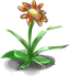 Florzinha
