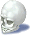 Caveira de Desaparecido