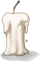 Vela