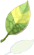 Tiara de Folha