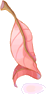 Erva Vermelha