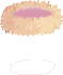 Ninho Abeonado