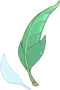 Folha de Aloe