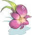 Tiara de Orquídea