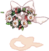 Coroa da Noiva