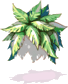 Tiara de Samambaia