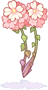 Persica