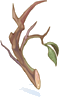Galho