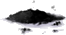 Pó Negro