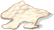 Bactérias