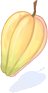 Cacau