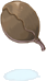 Pata de Besouro