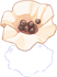 Pílula