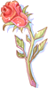 Rosa Eterna