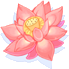Flor de Vitória-Régia