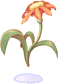 Flor do Amor