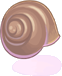Casco de Caramujo
