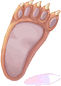 Pata de Urso