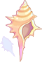 Concha