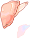Carne de Ostra