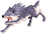 Lobo andando