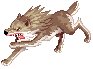 Lobo do Deserto andando