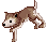Filhote de Lobo do Deserto andando